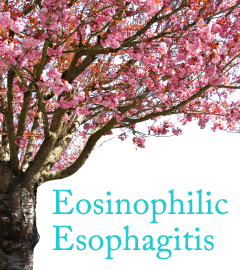 2026 EoE Network of Virginia Banner